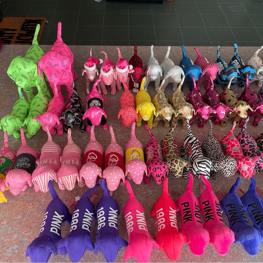 HUGE PINK dog bundle - Picture 2 of 16